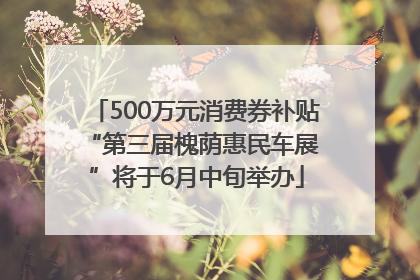 500万元消费券补贴 “第三届槐荫惠民车展”将于6月中旬举办